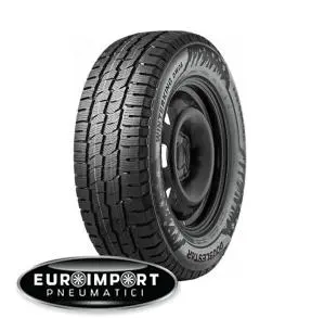 Double star Winterking Dw16 205/55 R17 95 T XL  TL
